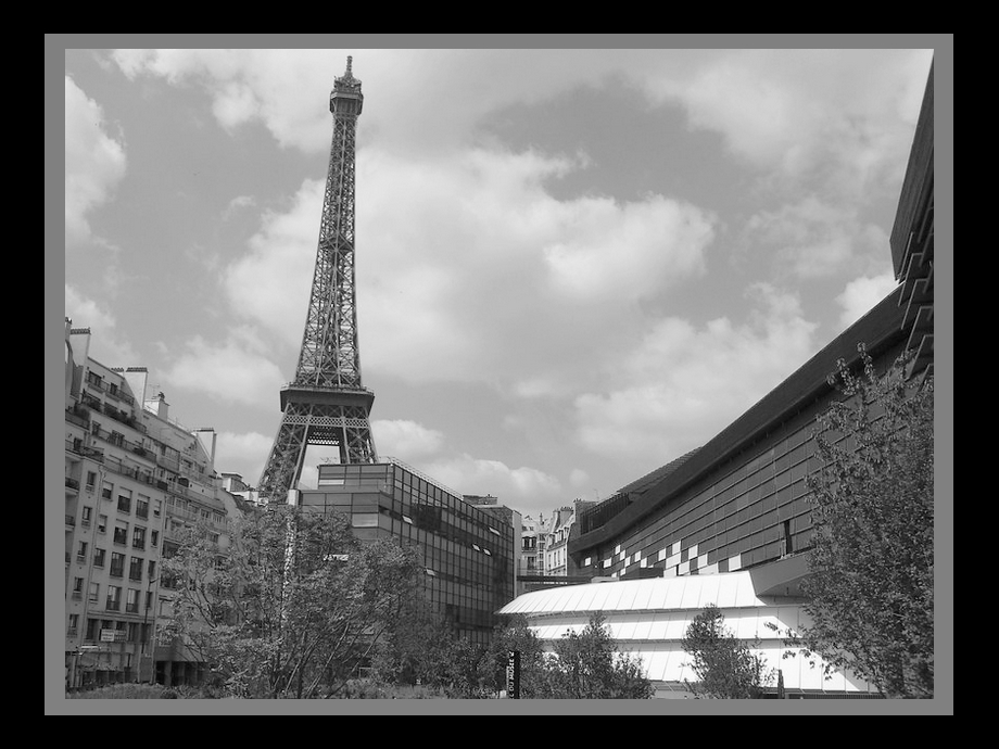 Quai Branly en Noir et Blanc: Tour Eiffel vue du Quai Branly-3